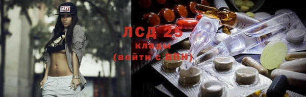 бошки Щигры