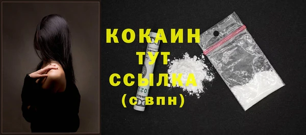 шишки Корсаков