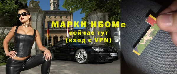 шишки Корсаков