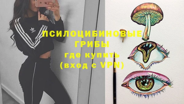 бошки Щигры