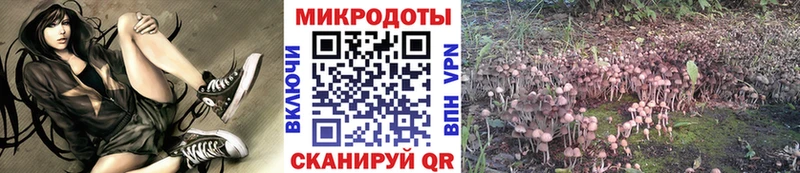 Псилоцибиновые грибы мицелий  Купить  Озёры 